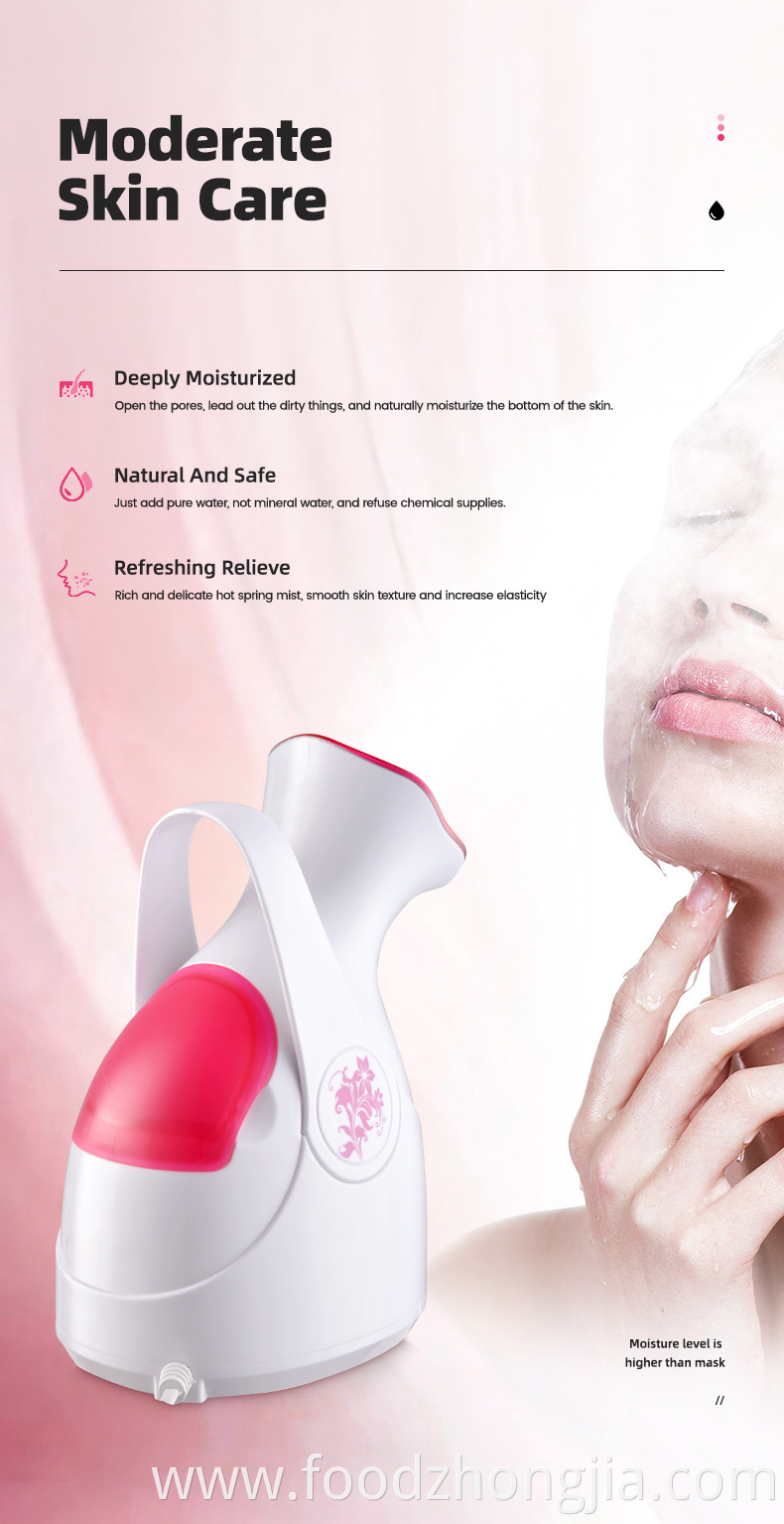 Mini Custom Logo Private Label 55/100ml Capacity Portable Hot Mist Moisturizing Nano Face Ionic Facial Steamer